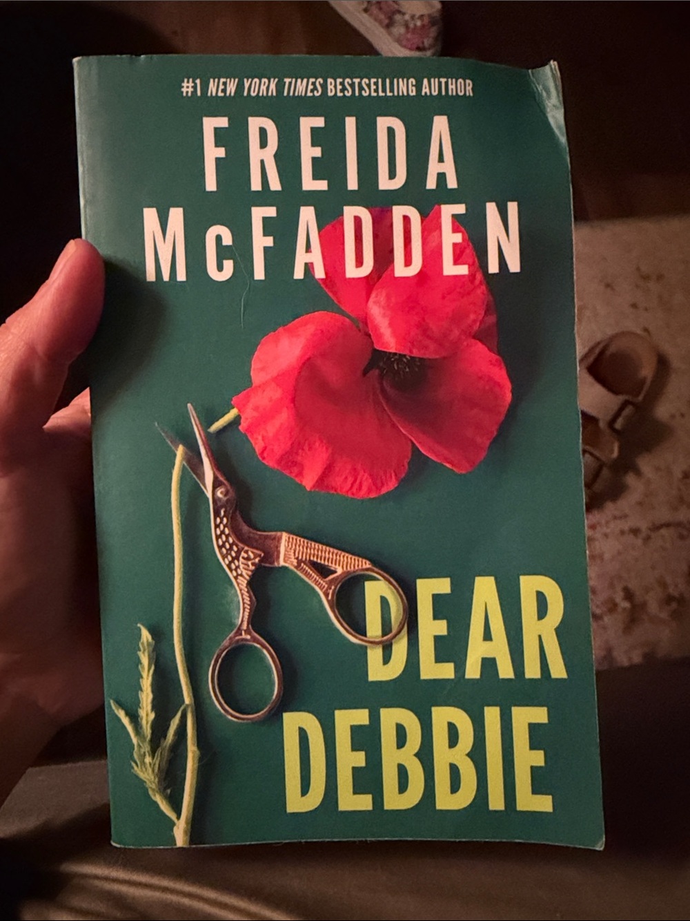 Dear Debbie – by Freida McFadden
